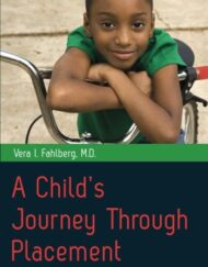 A Child's Journey Through Placement