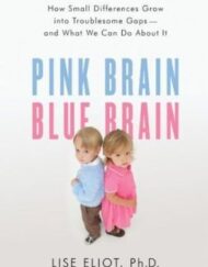 Pink Brain, Blue Brain: How Small Differences Grow Into Troublesome Gaps -- And What We Can Do About It