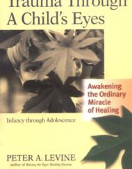 Trauma Through a Child's Eyes: Awakening the Ordinary Miracle of Healing